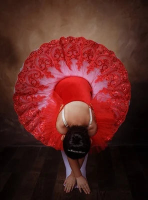 Red Giselle Dance Costume Ballet Tutu Platter Dance Ballet Dress