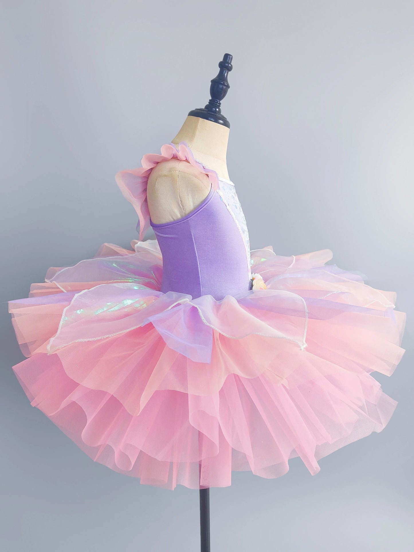 Kids Ballet Dress Dance Skirts Tutu Dance Princess Performance Costume