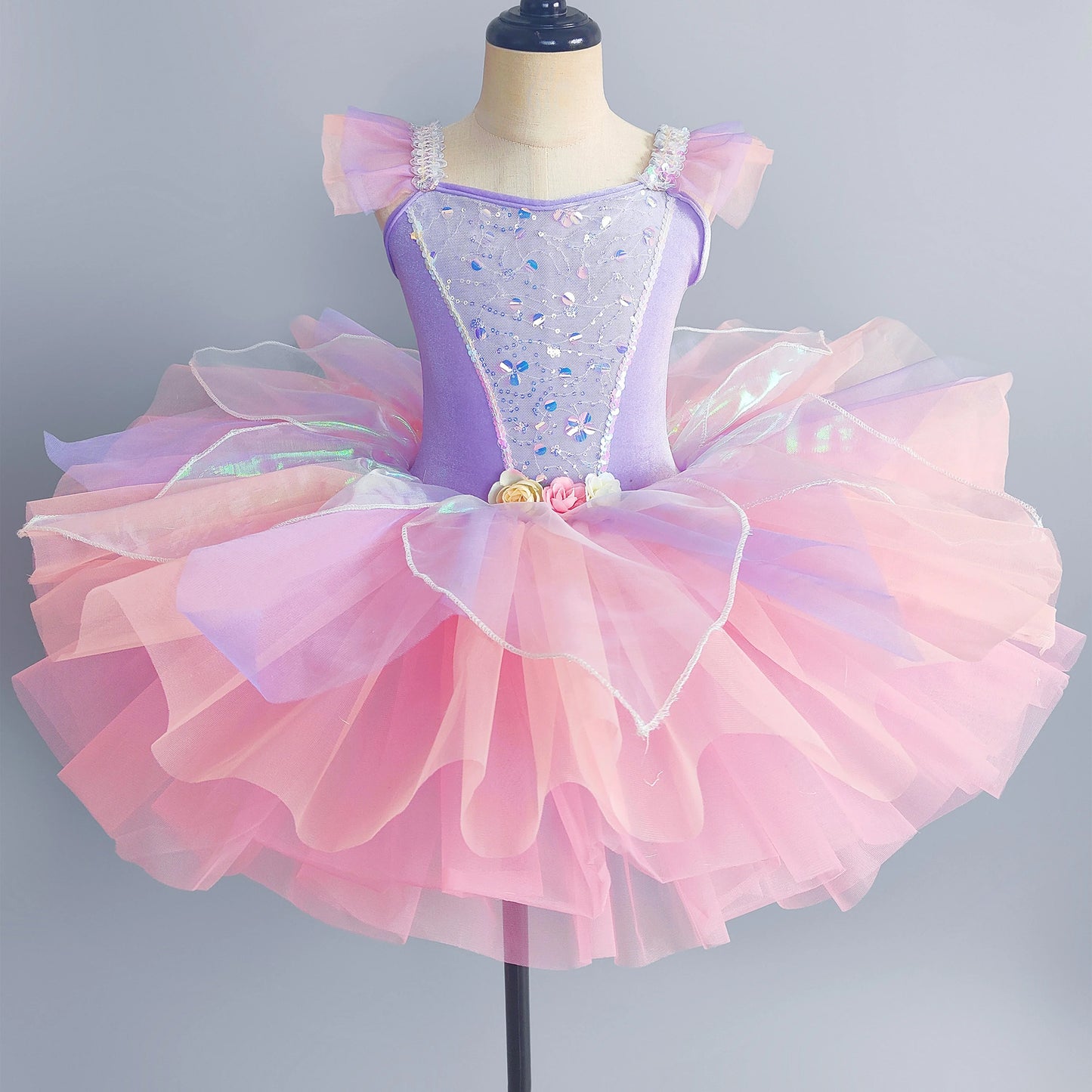 Kids Ballet Dress Dance Skirts Tutu Dance Princess Performance Costume