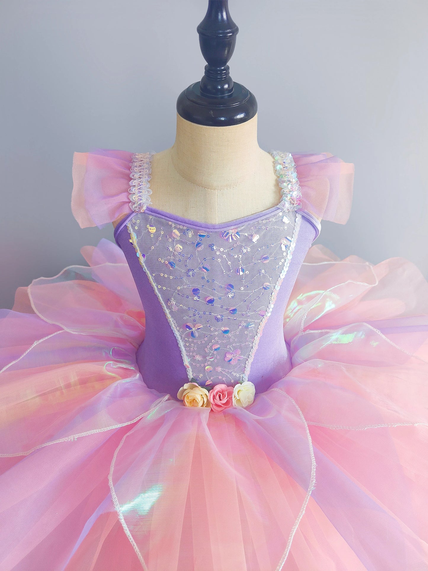 Kids Ballet Dress Dance Skirts Tutu Dance Princess Performance Costume