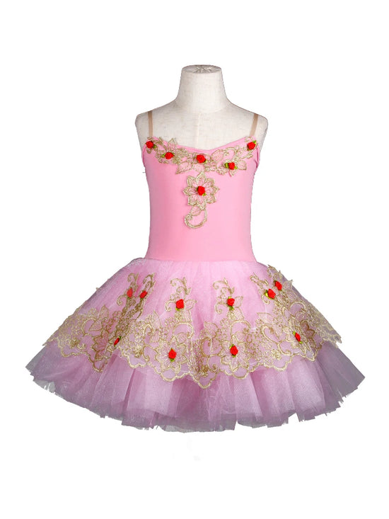 Girls Ballet Skirt Long Dance Dress Performance Costume Ballerina Dress