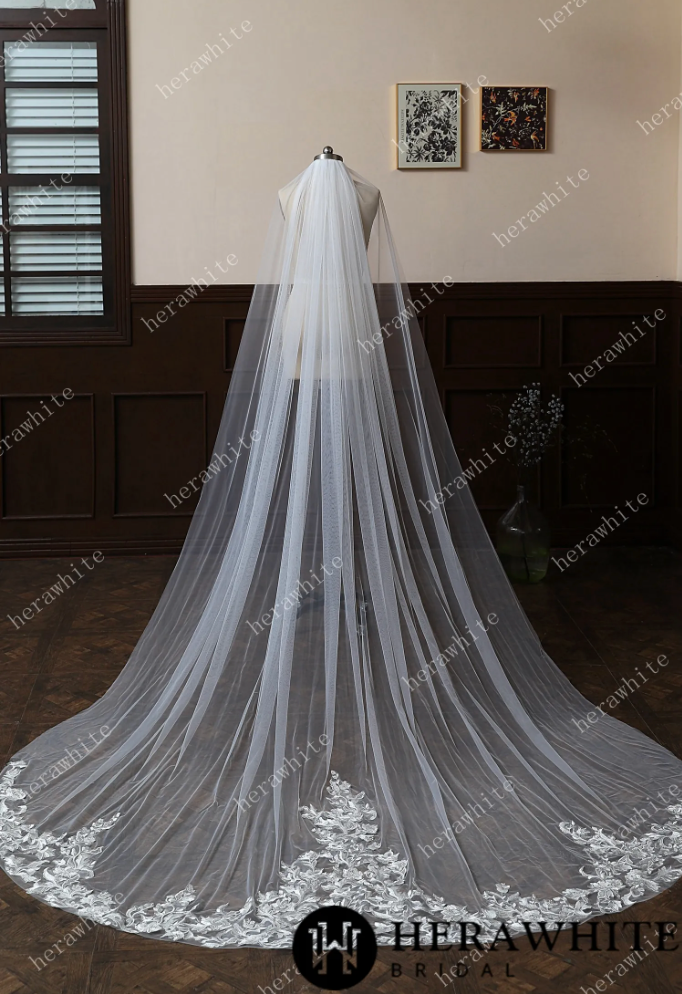 Elegant Lace Cathedral Length Bridal Veil