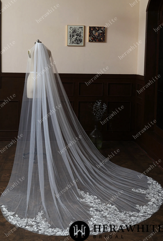 Elegant Lace Cathedral Length Bridal Veil