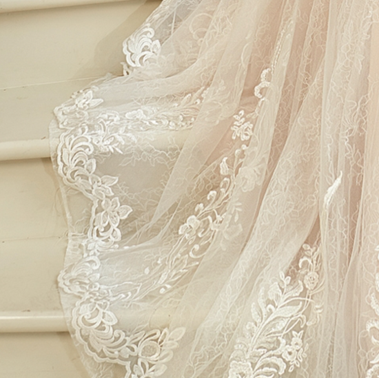 Blush Illusion Neckline Lace Mermaid Wedding Dress