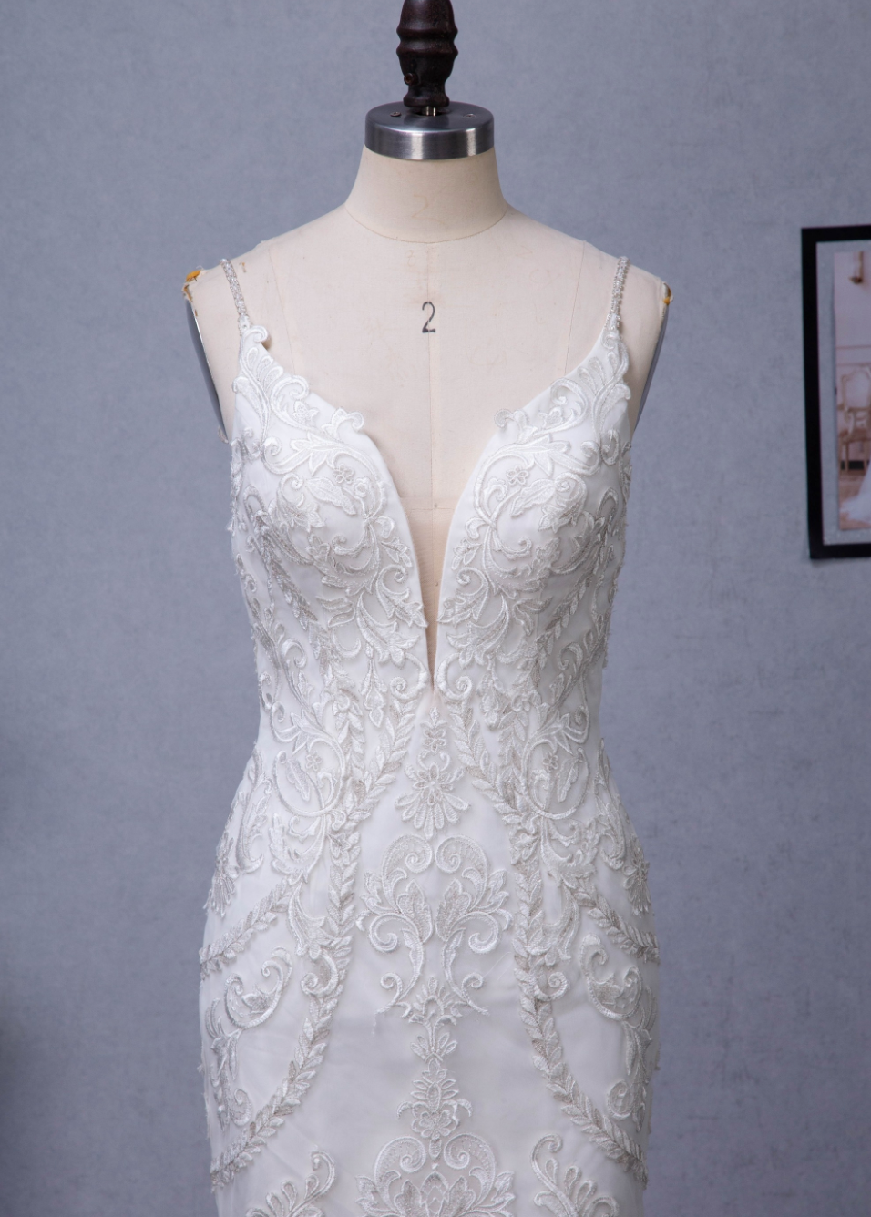Wedding Dress Plunging V-Neck Embroidered Lace Court Train