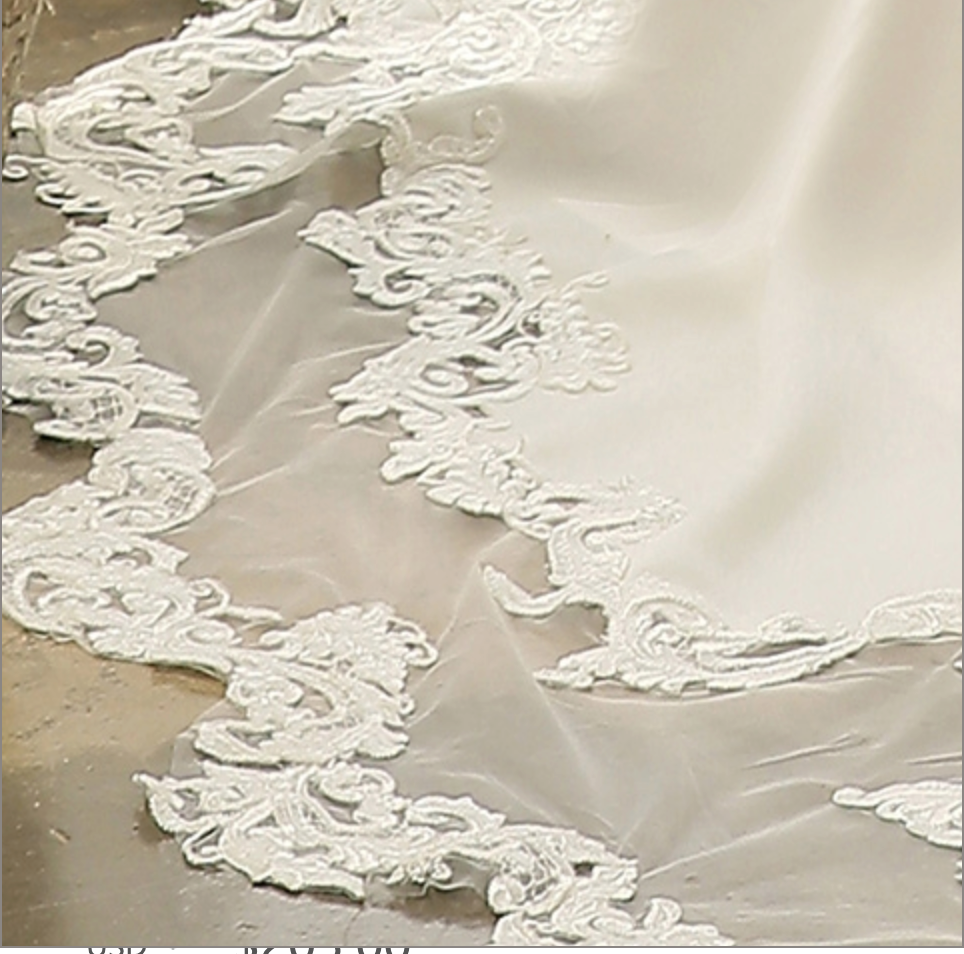Wedding Dress Illusion Lace Fit and Flare With Train