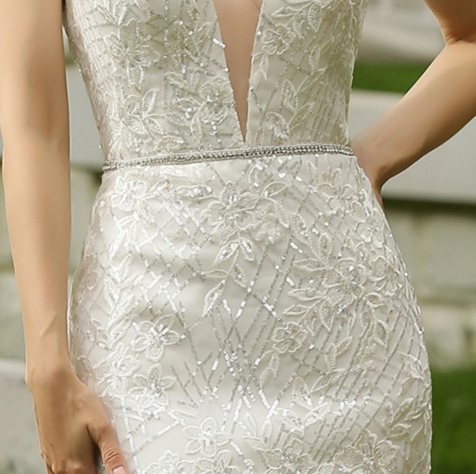 Wedding Dress Glittery Fitted With Deep V Neckline