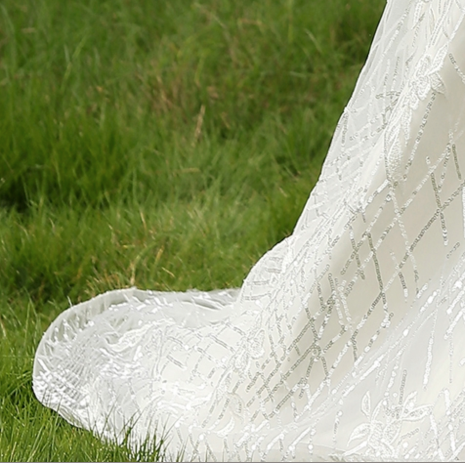 Wedding Dress Glittery Fitted With Deep V Neckline
