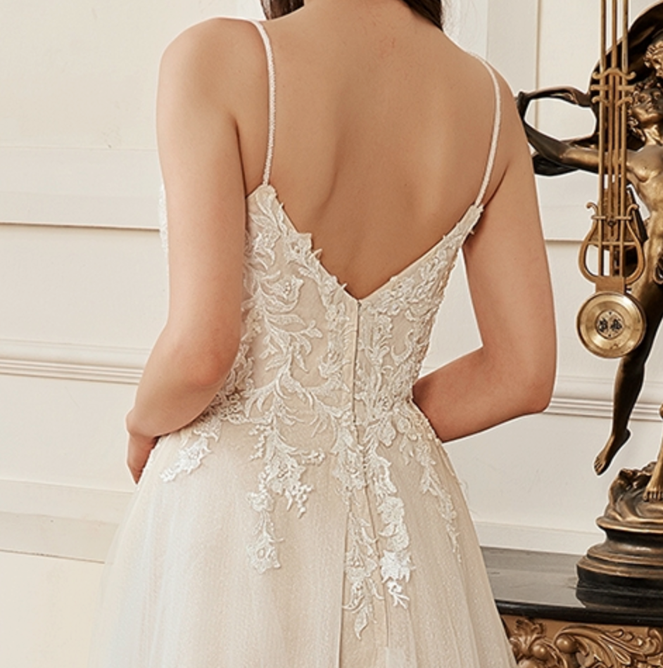 Wedding Dress Blush V-Neck Flower Lace A-Line Bridal Gown