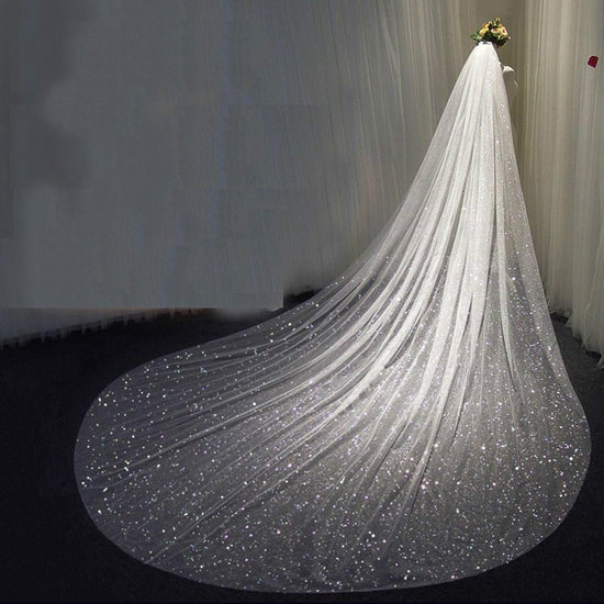 Bling Bridal Veil Sparkly White Champagne Cathedral Sequined Wedding Veil With Comb - TulleLux Bridal Crowns &  Accessories 