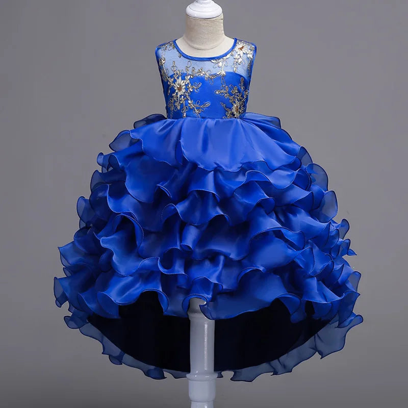 
                      
                        Embroidery Girls Princess Flower Tutu Ruffle Party Dress
                      
                    