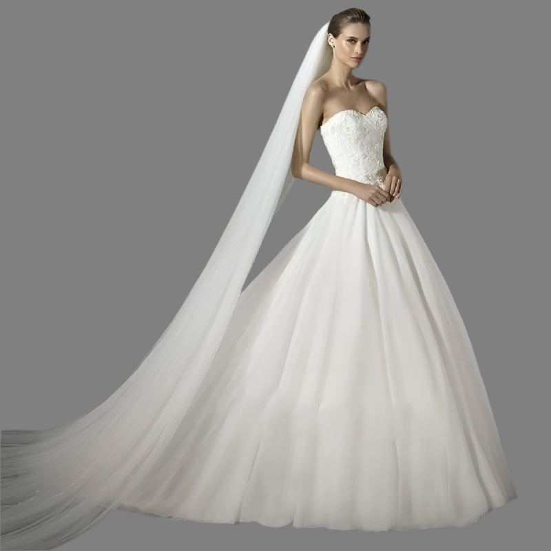 Woman wearing a white wedding dress with a long veil against a gray background, 