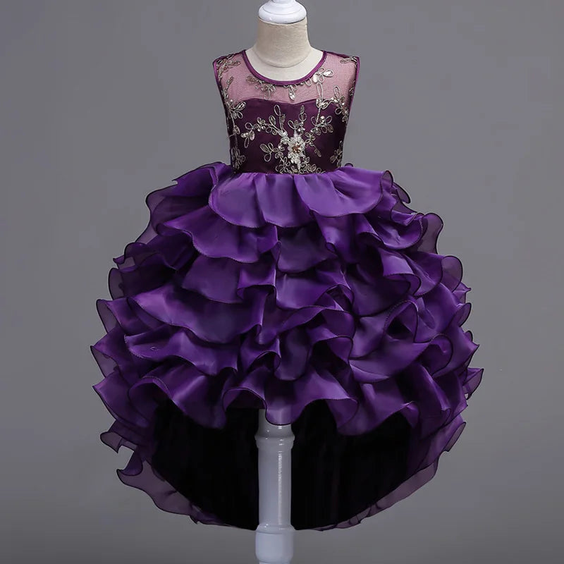 Embroidery Girls Princess Flower Tutu Ruffle Party Dress