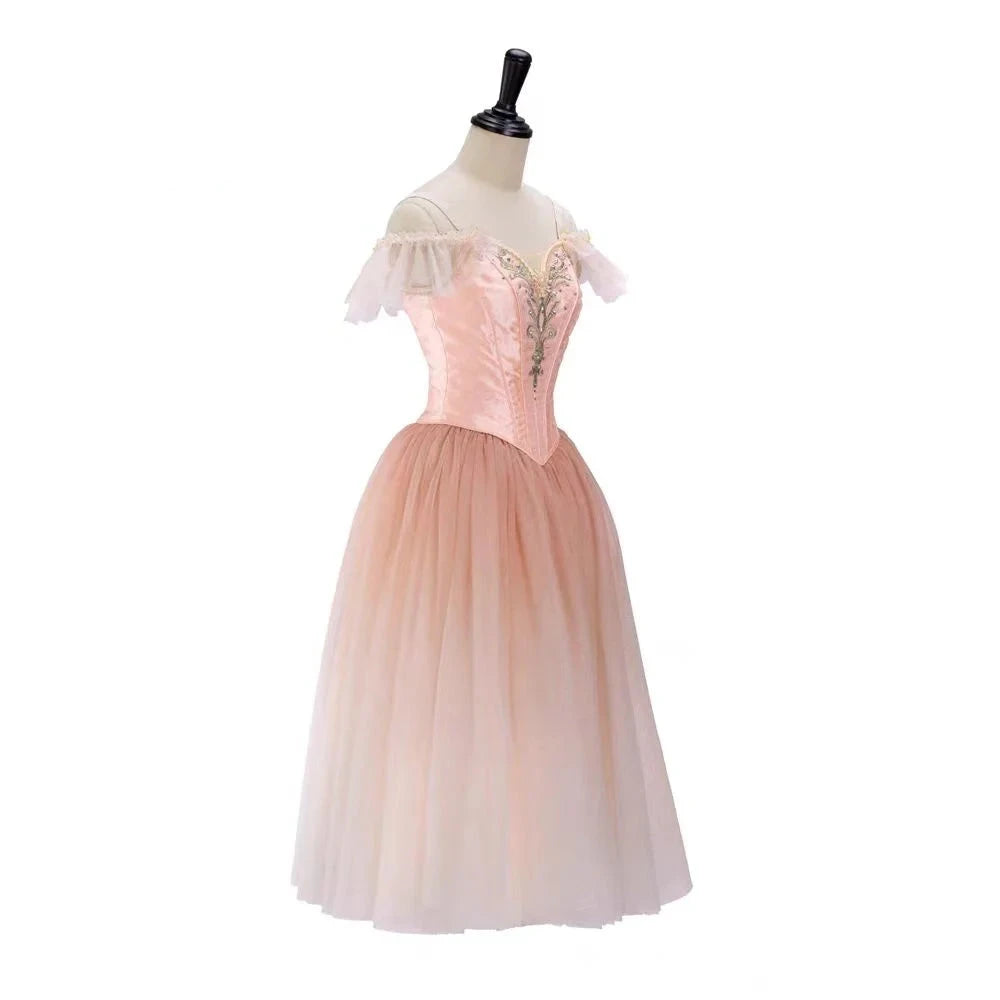 Professional Girls Ballet  Stage Competition Performance Dress