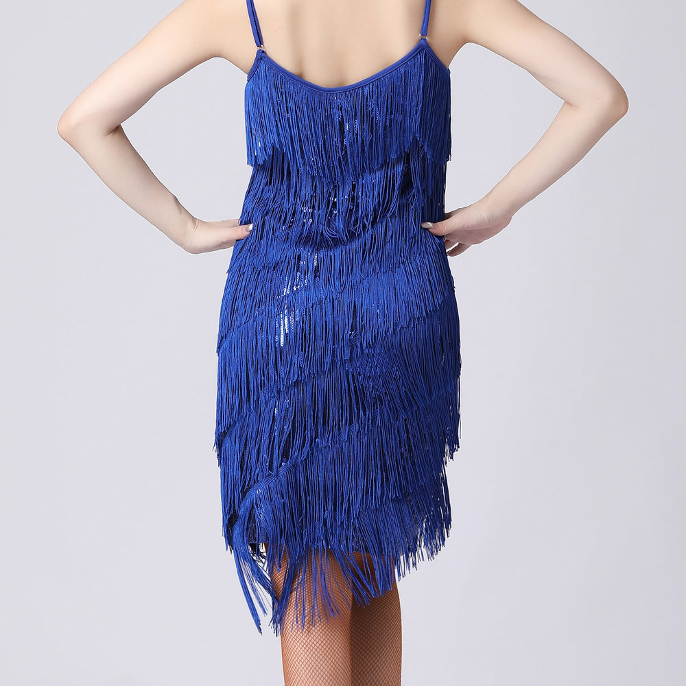 
                      
                        Sequin Fringe Latin Dance Dress Sleeveless Salsa Tango Dance Wear
                      
                    