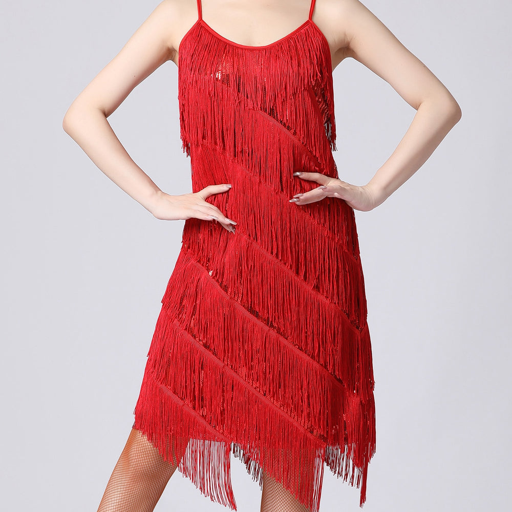 
                      
                        Sequin Fringe Latin Dance Dress Sleeveless Salsa Tango Dance Wear
                      
                    