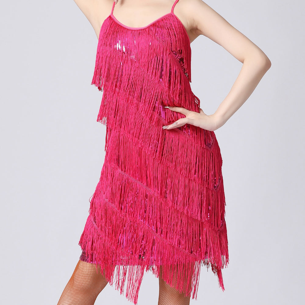 
                      
                        Sequin Fringe Latin Dance Dress Sleeveless Salsa Tango Dance Wear
                      
                    