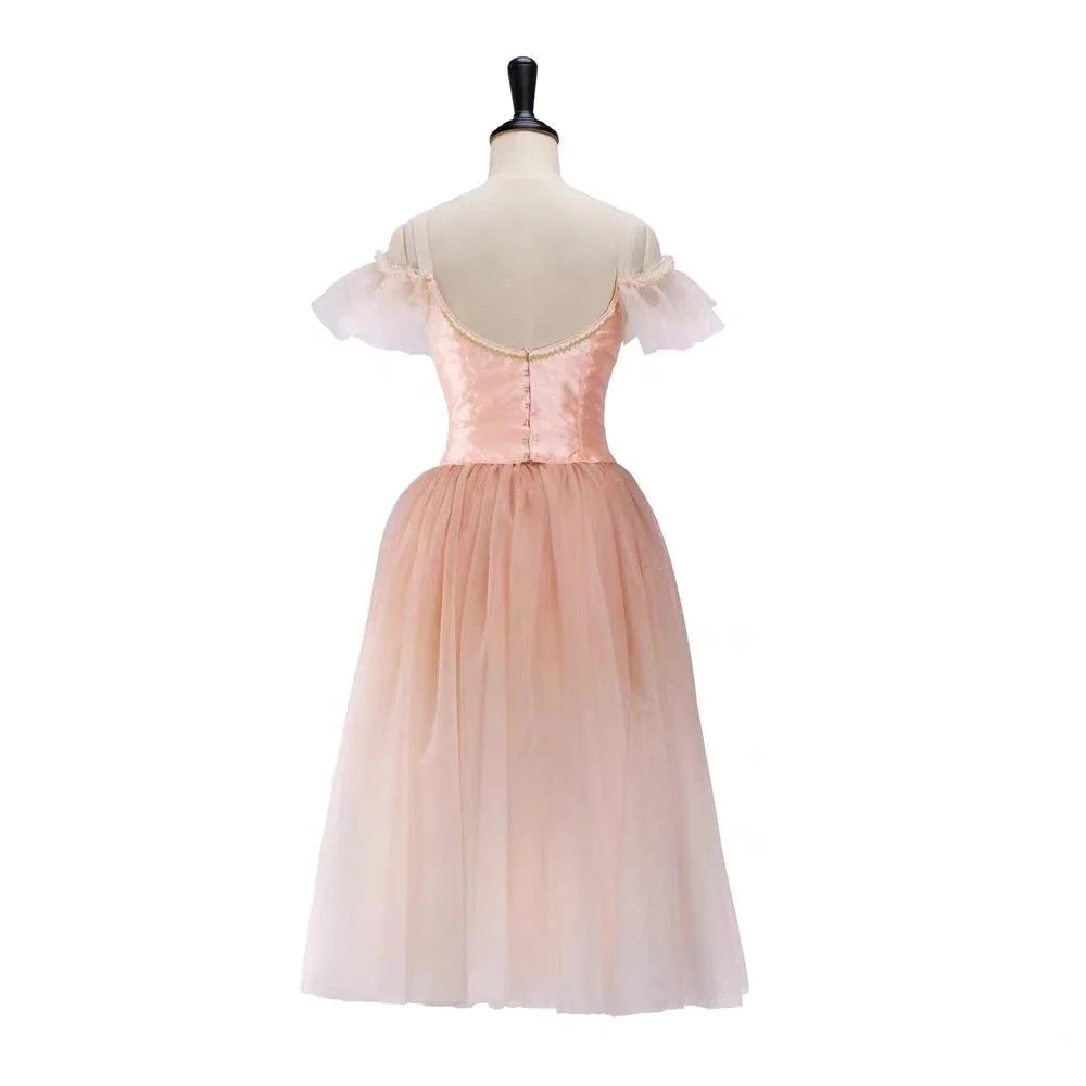 Professional Girls Ballet  Stage Competition Performance Dress