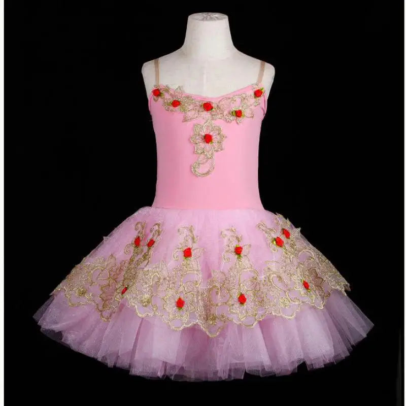 
                      
                        Girls Ballet Skirt Long Dance Dress Performance Costume Ballerina Dress
                      
                    