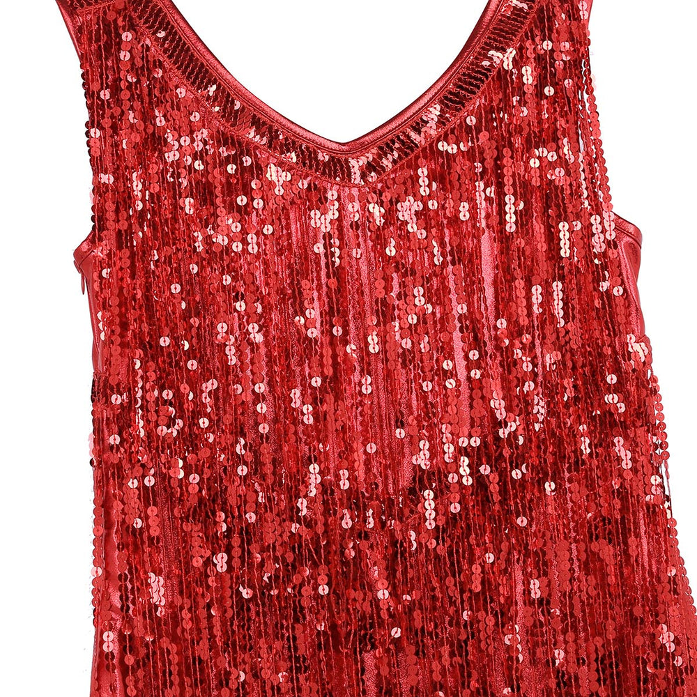 
                      
                        Ladies Sleeveless Sparkling Sequin Tassels Fringe Ballroom Latin Dance Dress
                      
                    