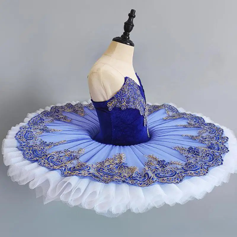 
                      
                        Girls Blue Embroidered Pancake Tutu Ballerina Dance Costume
                      
                    