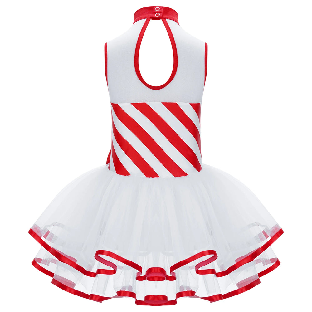 Girls Ballet Tutu Dress Striped Leotard for Stage  Dance Performance