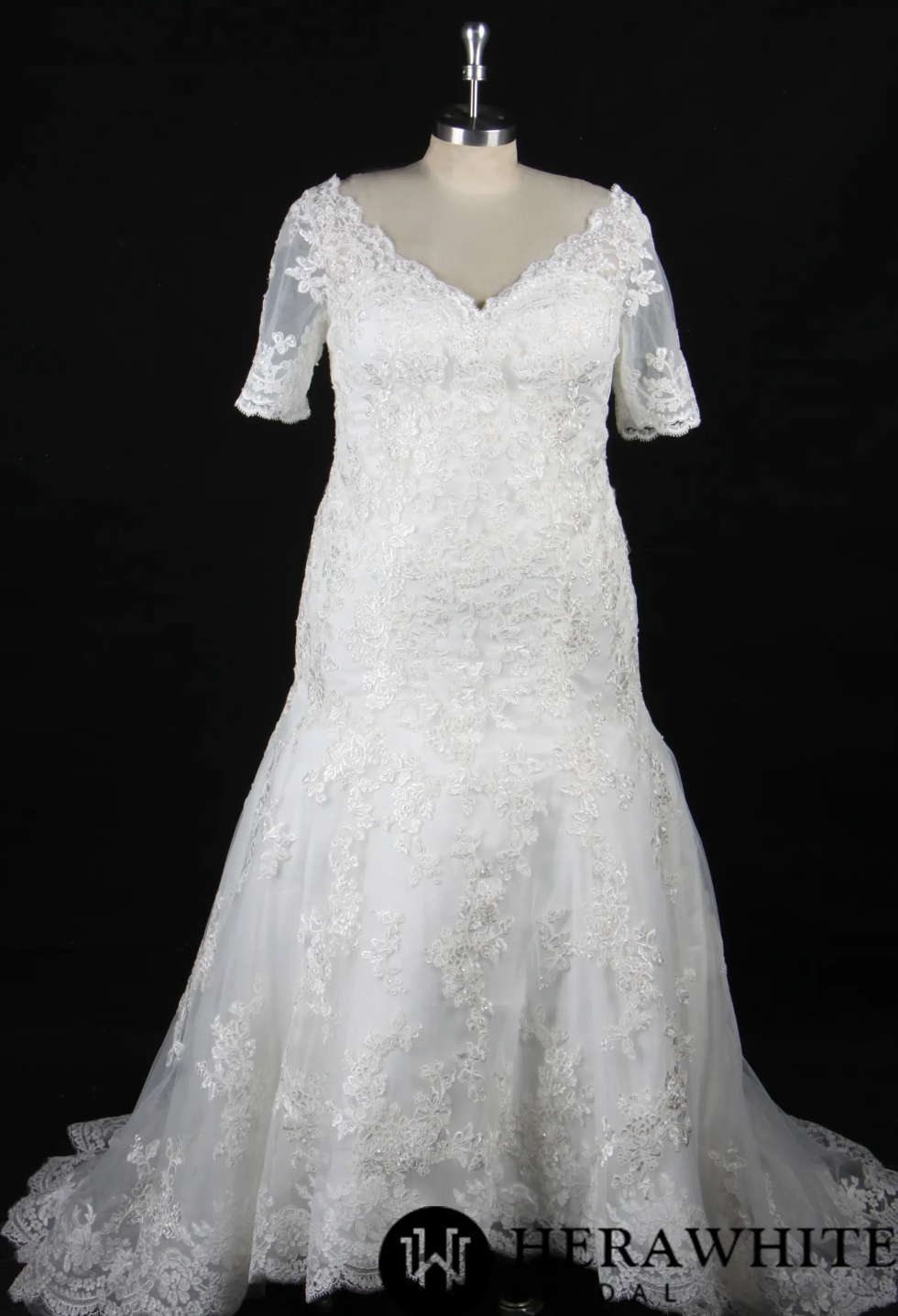 Plus Size Sheath With Delicate Lace Motifs Wedding Dress