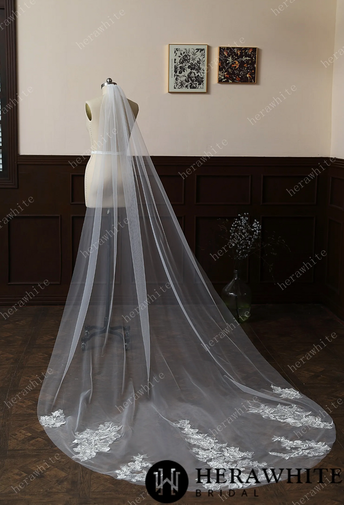 
                      
                        Cathedral Length Whimsical Lace Bridal Veil With Vintage Vibes
                      
                    