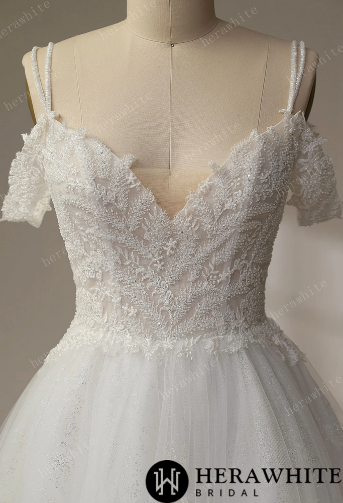 Beaded leaf lace Illusion Bodice With V-neckline Wedding Gown