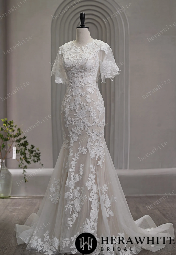 
                      
                        High Neck Floral Lace Bridal Gown with Flutter Sleeves
                      
                    