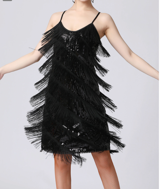 
                      
                        Sequin Fringe Latin Dance Dress Sleeveless Salsa Tango Dance Wear
                      
                    