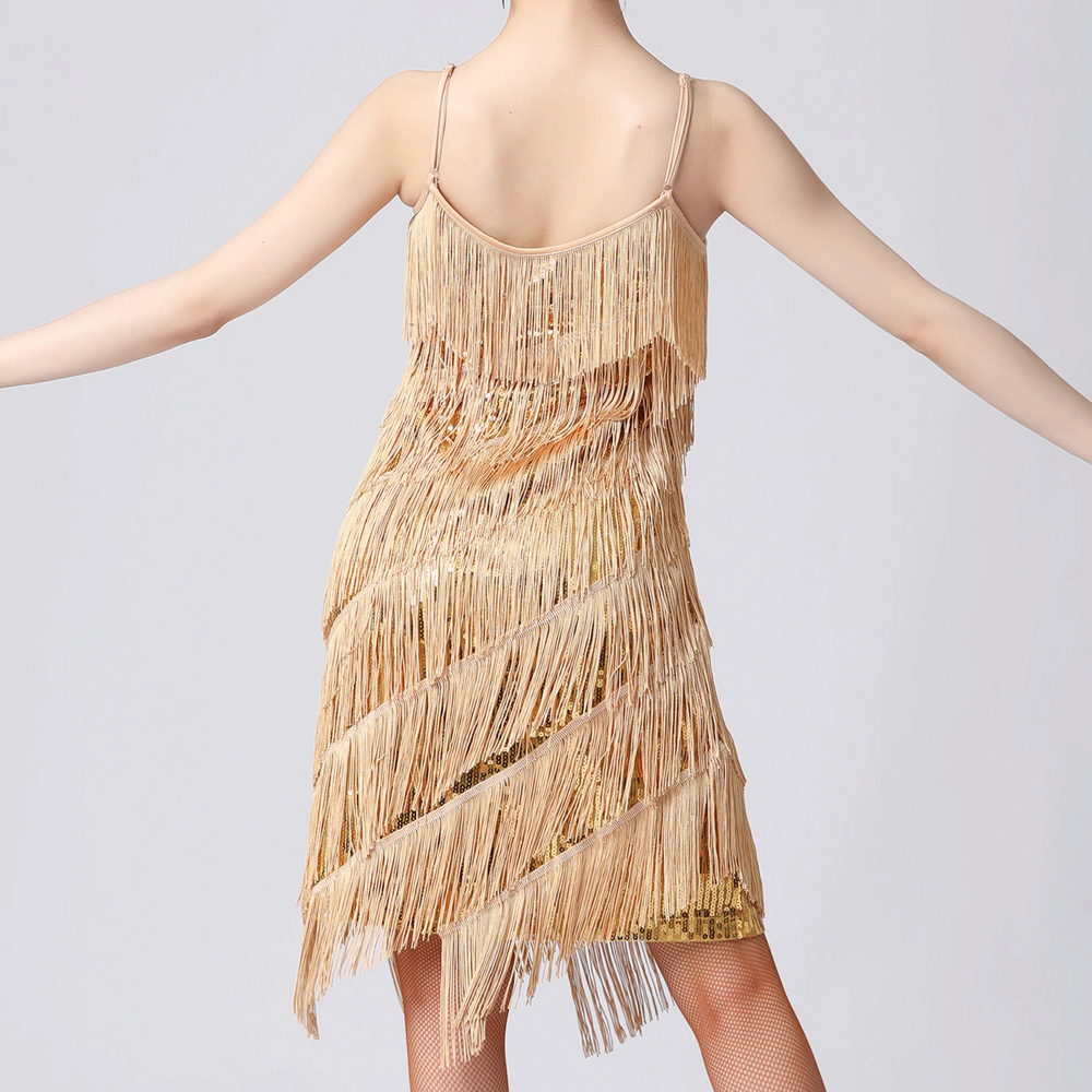 
                      
                        Sequin Fringe Latin Dance Dress Sleeveless Salsa Tango Dance Wear
                      
                    