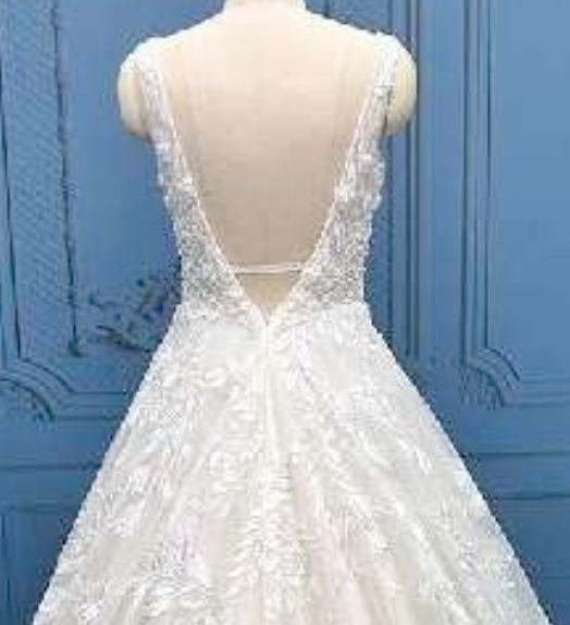 Embellished Beaded Lace A Line Sleeveless Wedding Gown