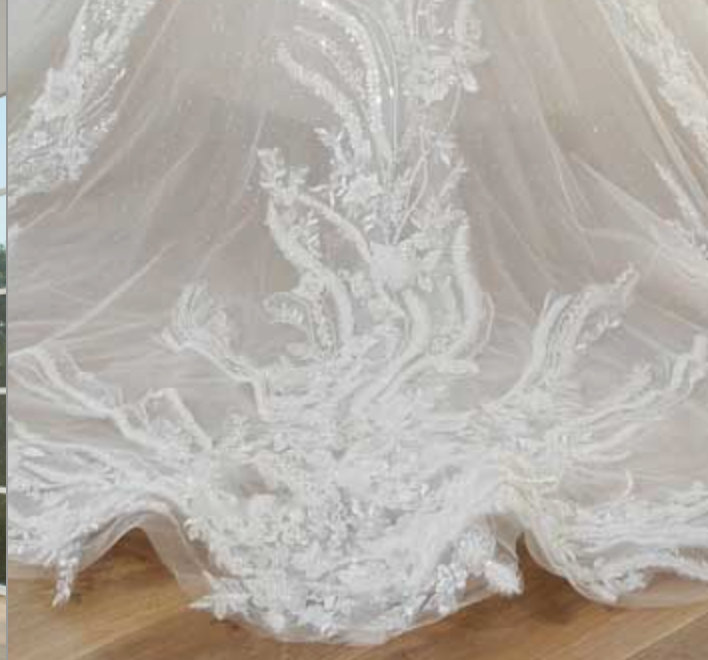 
                      
                        Beaded Lace Illusion Sleeve Deep Plunging V Neckline Tulle Bridal Wedding Gown
                      
                    