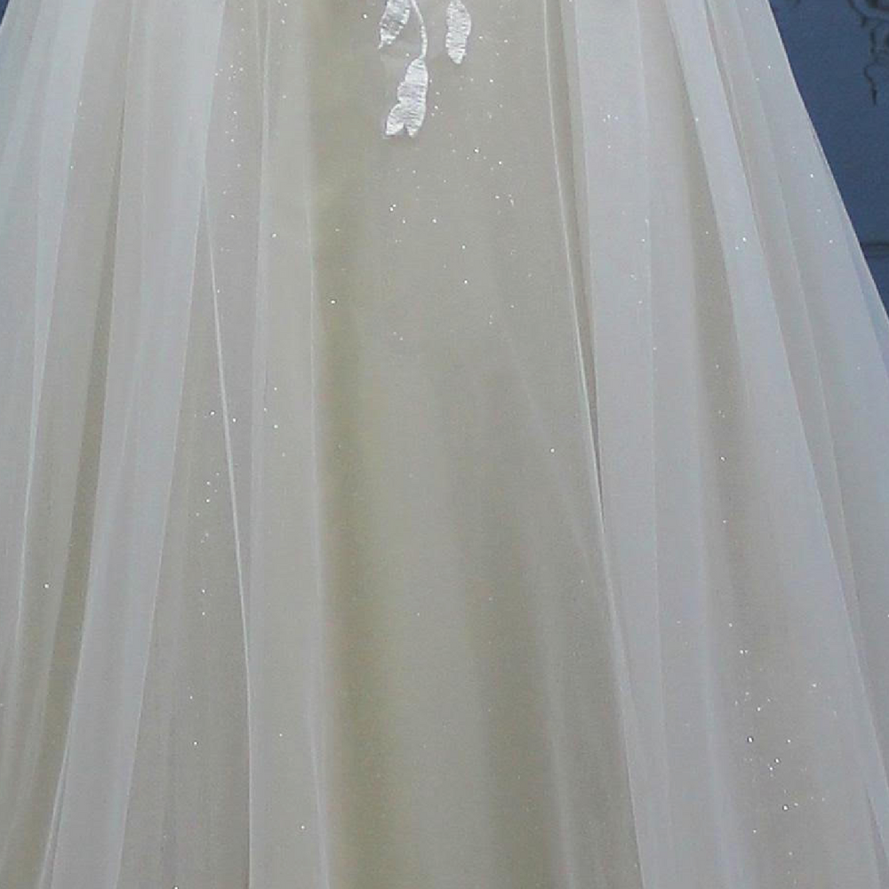 
                      
                        Glitter Tulle A Line Sleeveless Beaded Spaghetti Strap Wedding Gown
                      
                    