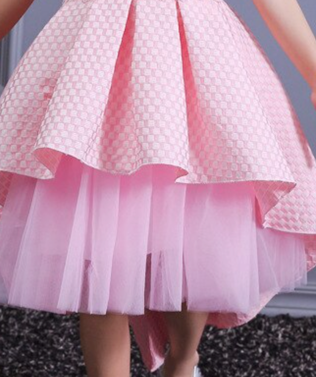 
                      
                        Tulle Layered Flower Girl Party Dress
                      
                    