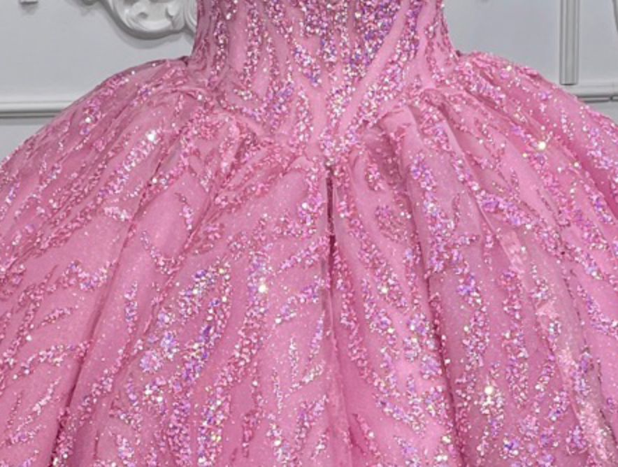 
                      
                        Party Pink Organza Quinceanera A Line Ball Gown
                      
                    