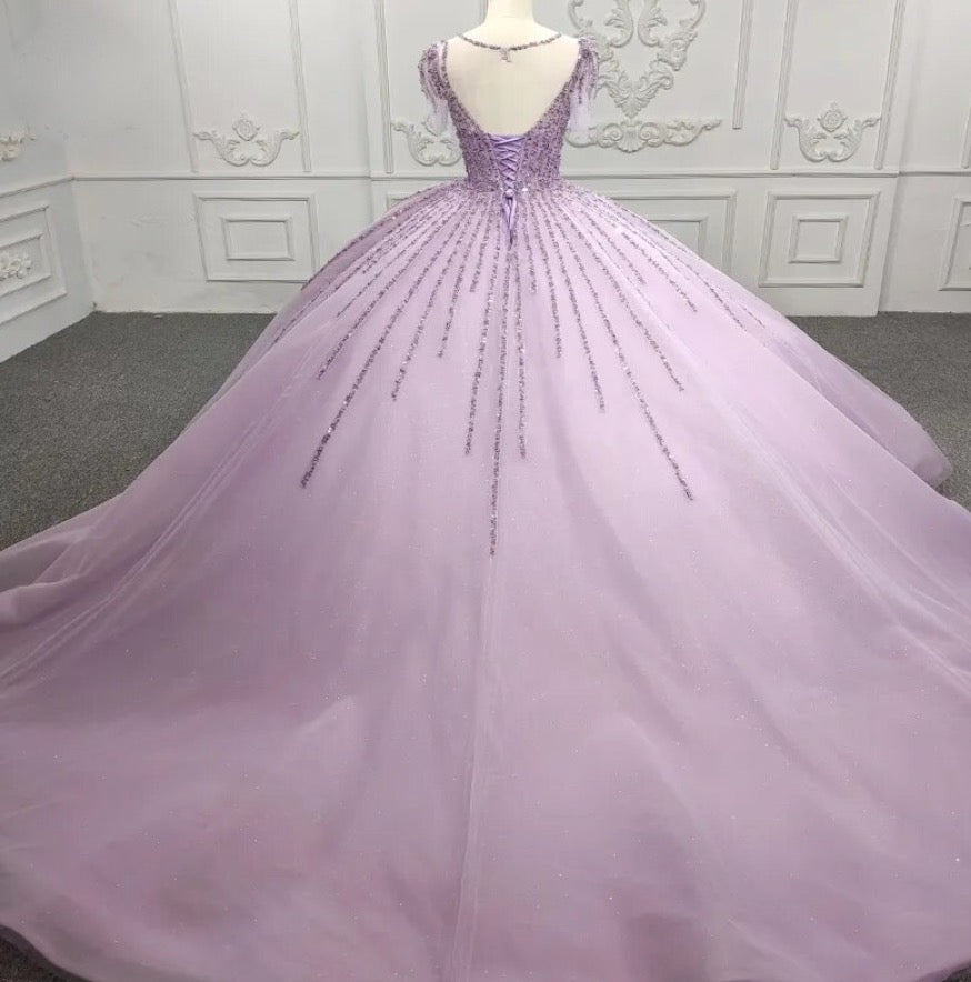 Purple Sequined A Line Party Ball Gown