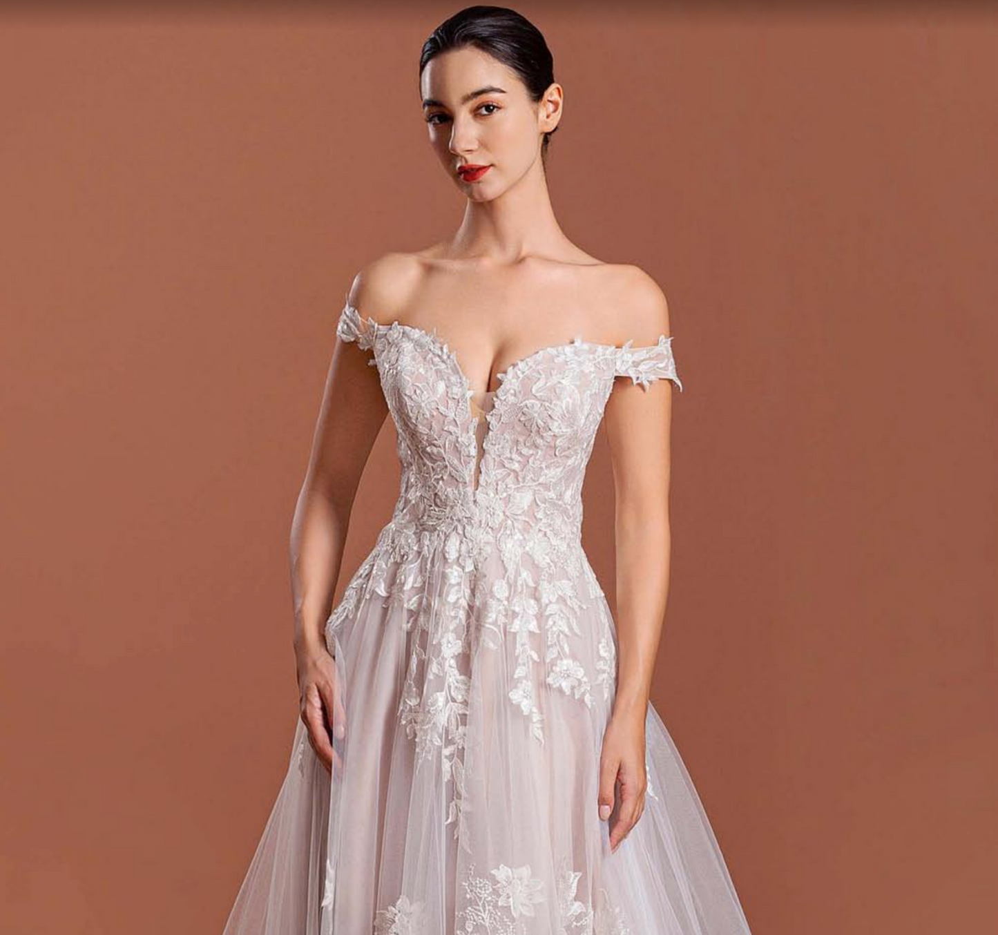 Traditional A Line Lace Tulle Bridal Wedding Dress