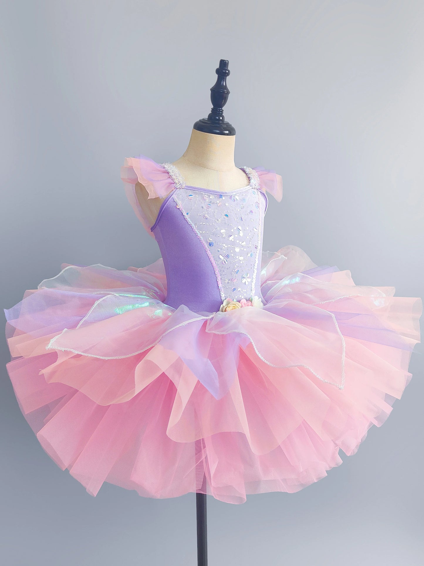 Kids Ballet Dress Dance Skirts Tutu Dance Princess Performance Costume