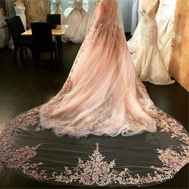 Champagne Cathedral Length Wedding Veil with Lace Edge