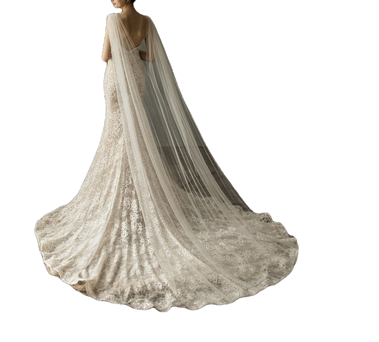 Cathedral Length Bridal Veil Cutout Lace Edge Wedding Veil