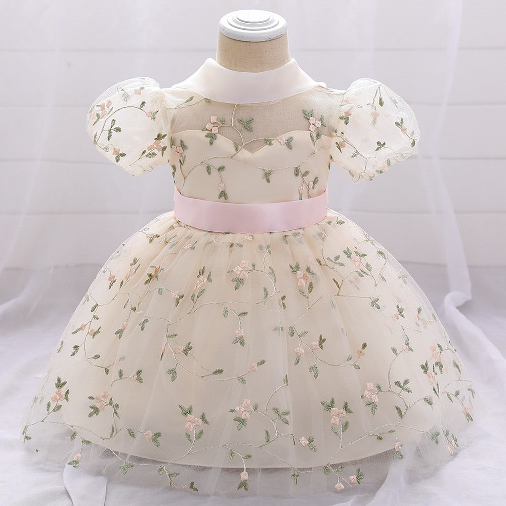 Infant Baby Girls Dress Flower Embroidery Princess Dress For Baby 1st Year Birthday