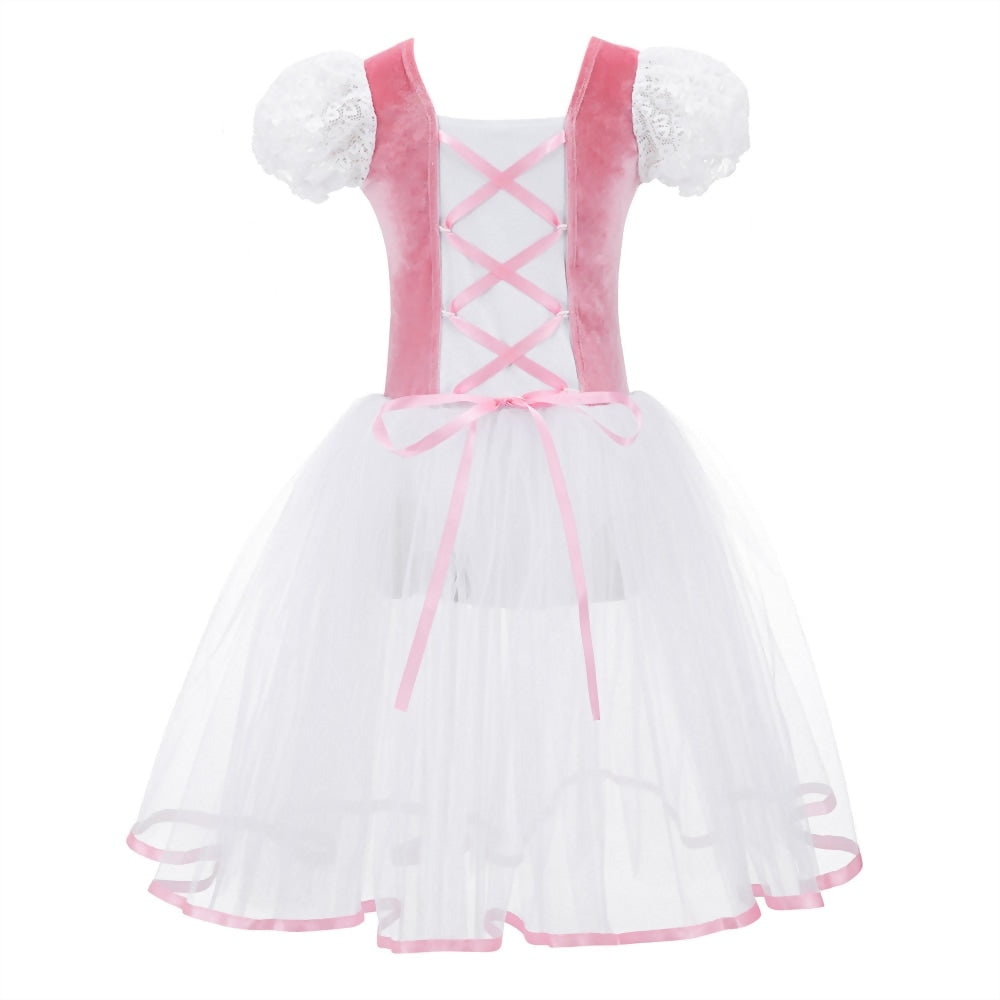 
                      
                        Girls  Ballet Tutu Dress Velvet Body Mesh Skirt Dance Gymnastics Leotard Costume
                      
                    