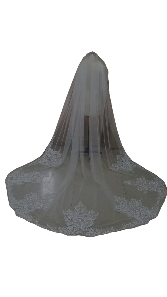 Champagne Cathedral Length Wedding Veil with Lace Edge