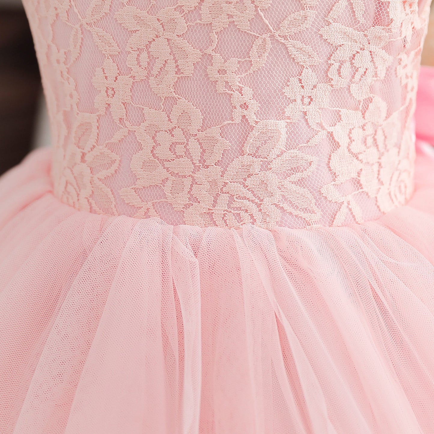 Flower Girls Dress 2-6 Yrs Lace Princess Wedding Birthday Party Evening Tutu Dress