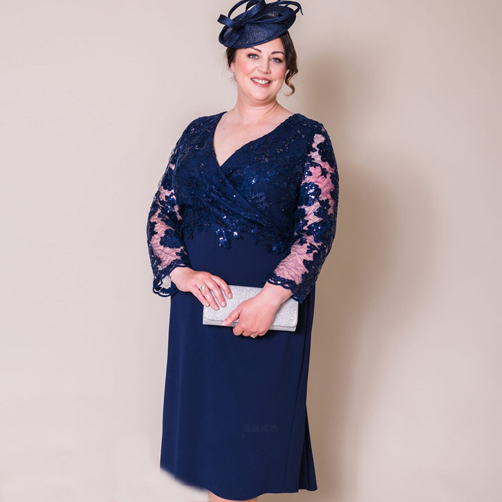 
                      
                        Plus Size Mother of the Bride Illusion Lace Sheath Dress Wedding Guest Attire
                      
                    