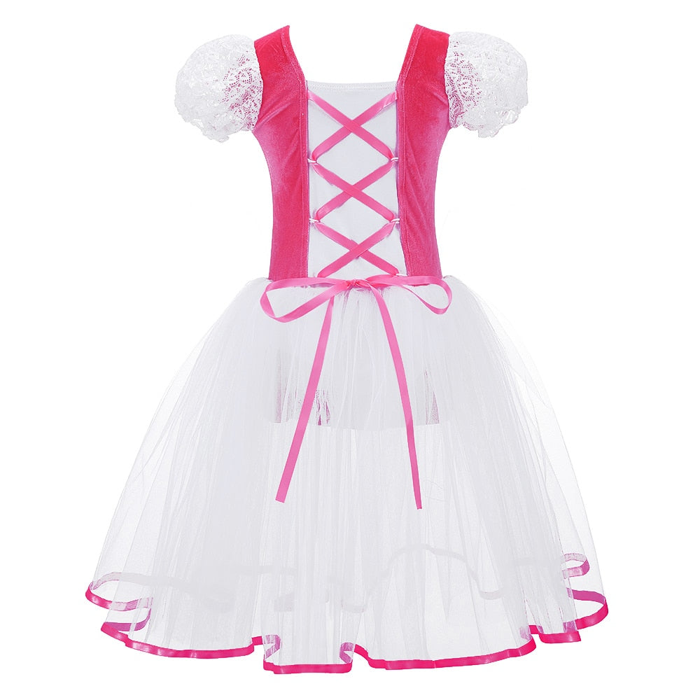 
                      
                        Girls  Ballet Tutu Dress Velvet Body Mesh Skirt Dance Gymnastics Leotard Costume
                      
                    