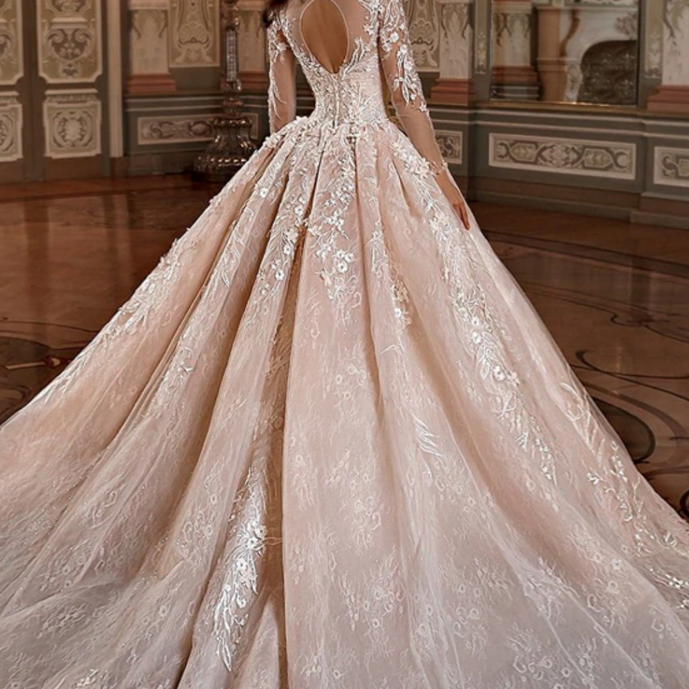 Lace Tulle Long Sleeve Chapel Train Princess Ball Gown TulleLux Bridal Crowns Accessories
