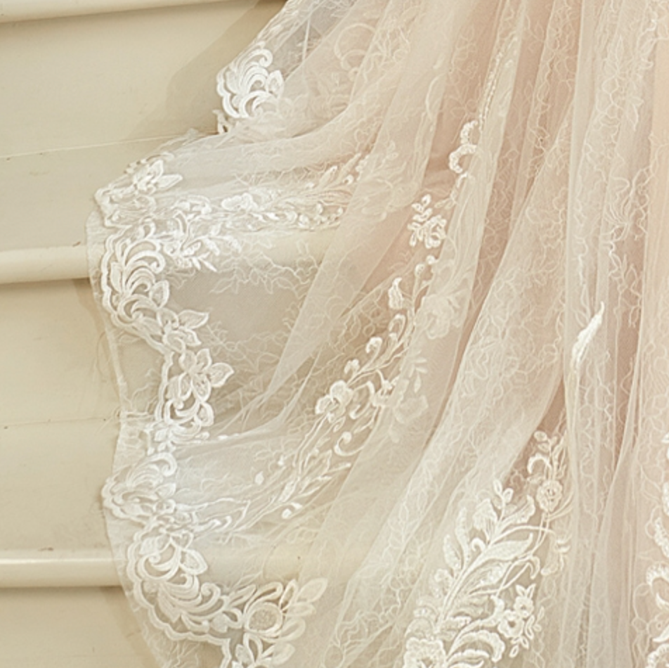 
                      
                        Blush Illusion Neckline Lace Mermaid Wedding Dress
                      
                    